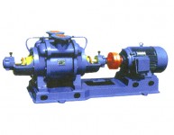 SZ系列水环式真空泵